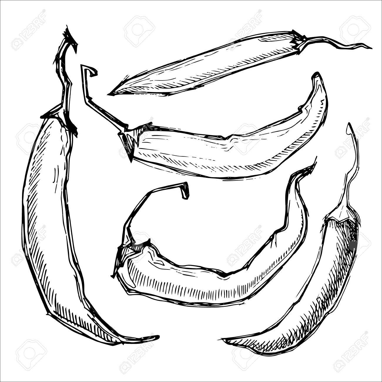 1300x1300 Hand Drawn Illustration