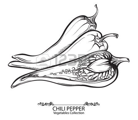 450x393 Hot Chili Pepper. Vector Hand Drawn Vegetables Isolated On White