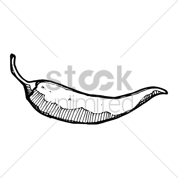 600x600 Hot Chili Pepper Vector Image