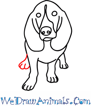 300x350 How To Draw A Hound Dog