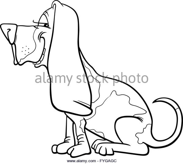 600x540 Basset Hound Black And White Stock Photos Amp Images