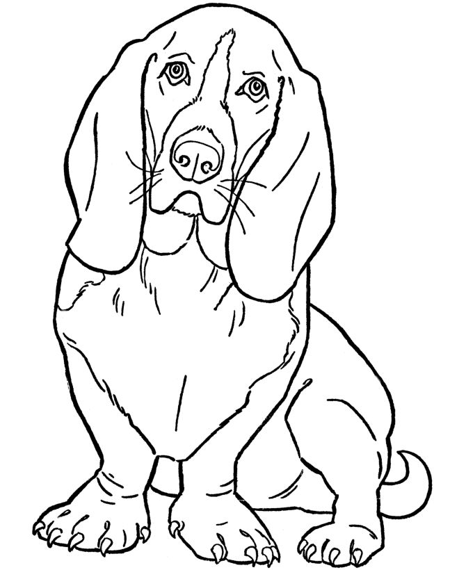 670x820 Dog Color Pages Printable Dog Coloring Pages Printable Basset
