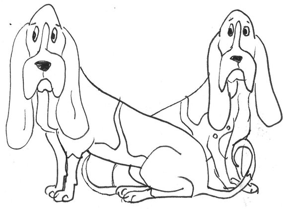 570x421 Basset Hound Original Dog Drawing Art Cartoon Caricature Artsy