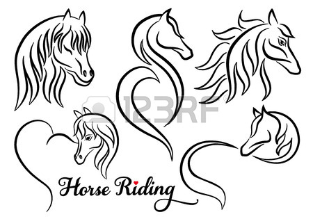 450x315 Horse Head Stock Photos. Royalty Free Business Images