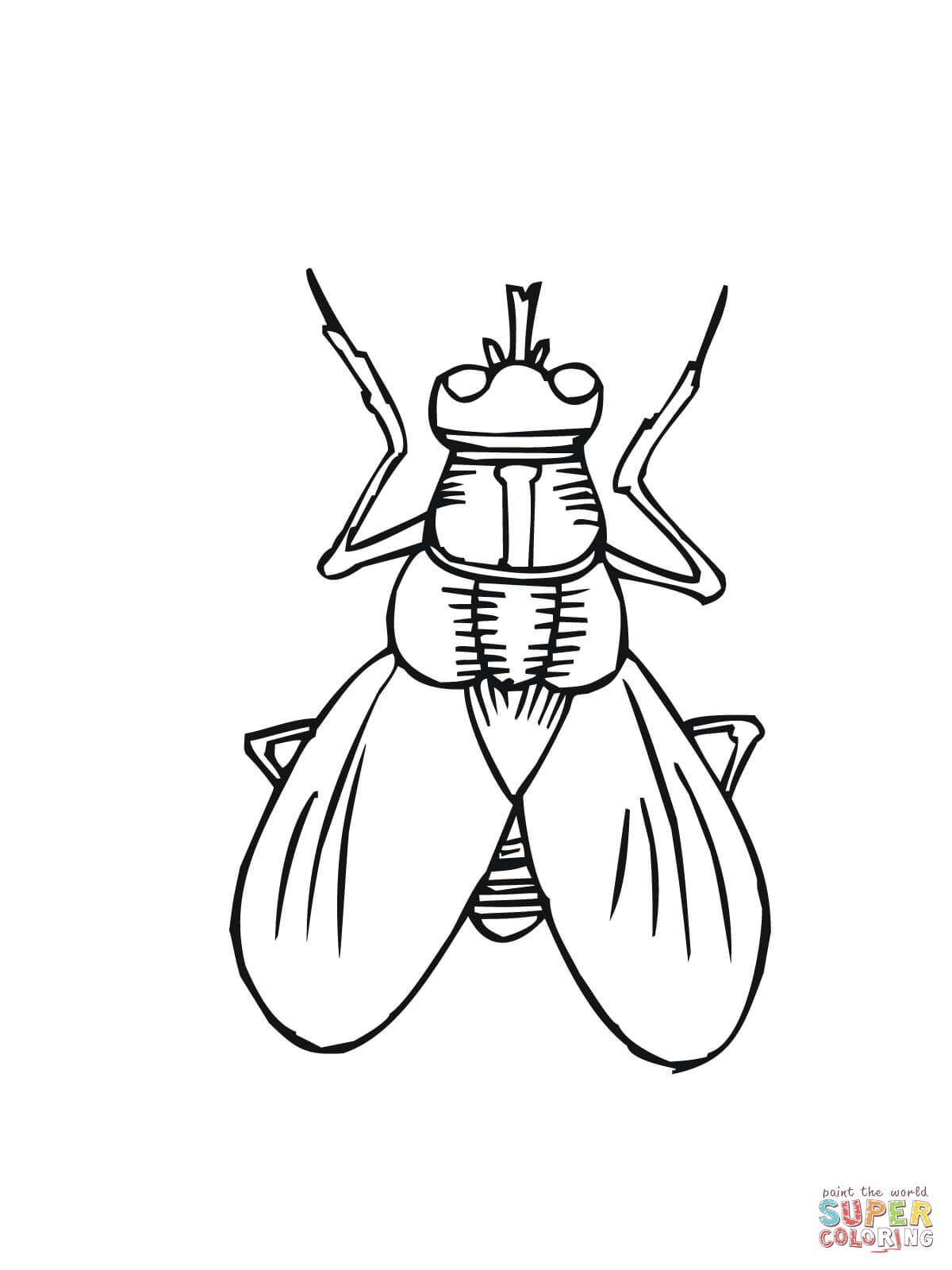 1200x1600 House Fly Coloring Page Free Printable Coloring Pages