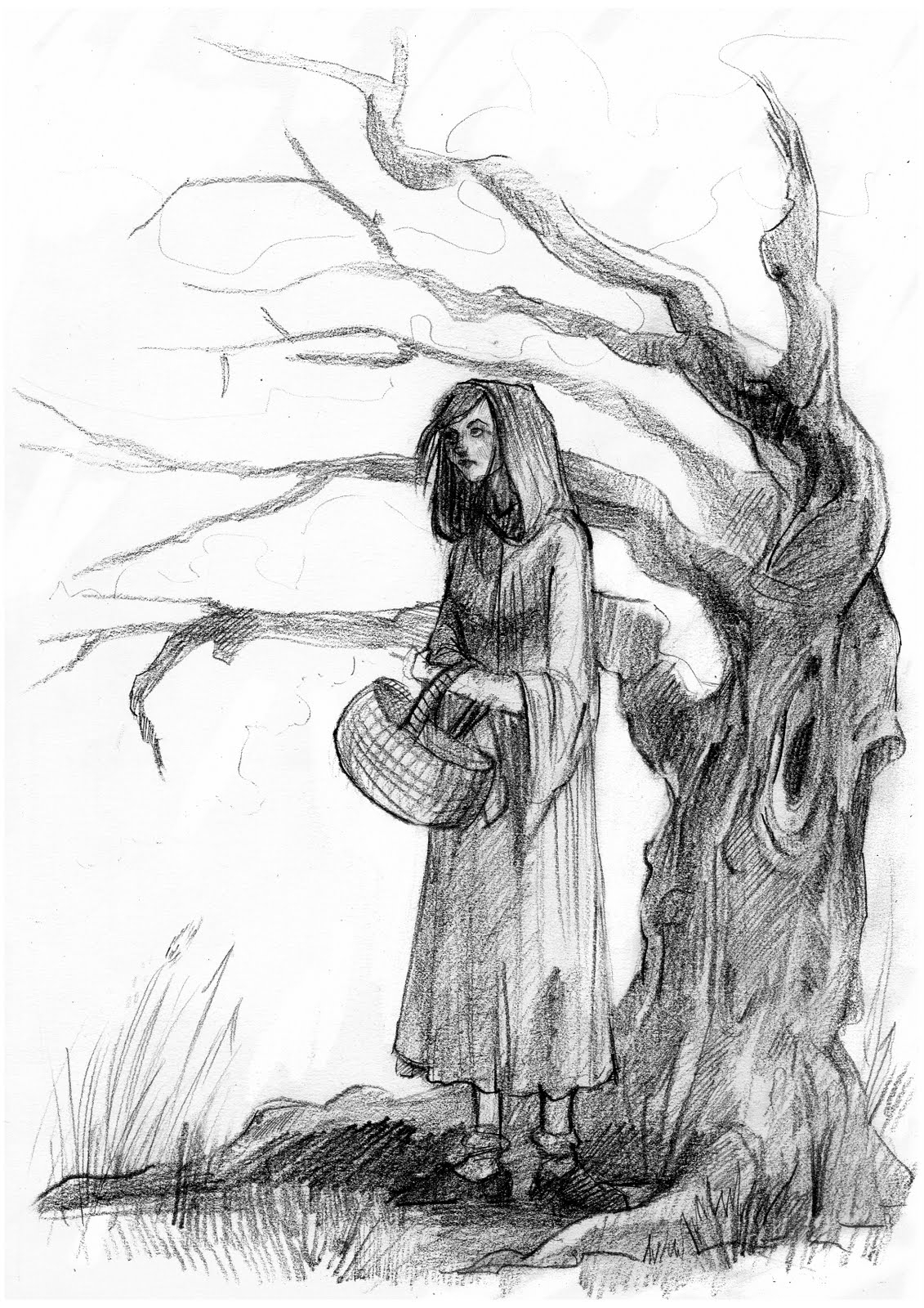 1131x1600 Simple Pencil Drawings Of Trees