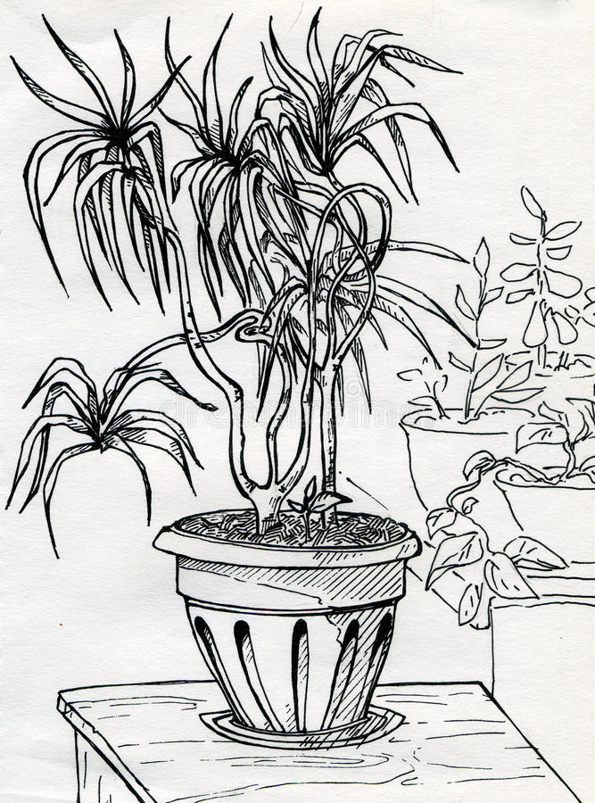 667x900 Elements Mr. Mck.'s Art Page Page 2