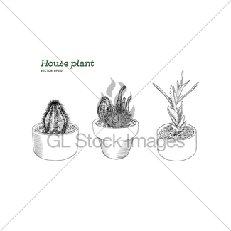 325x325 House Plant In Pot, Hand Draw Sketch Vector. Gl Stock Images