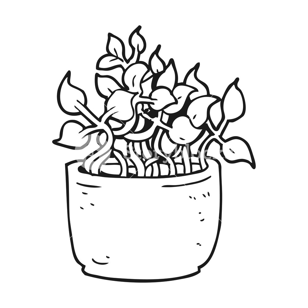 1000x1000 Freehand Drawn Black And White Cartoon House Plant Royalty Free