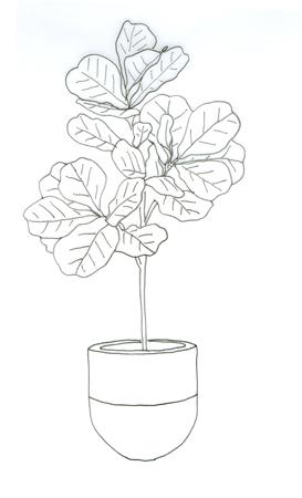 273x450 Houseplants How To Garden Objects