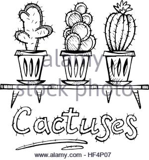 300x321 Vector Set Of Cute House Plants In Pots Stock Vector Art