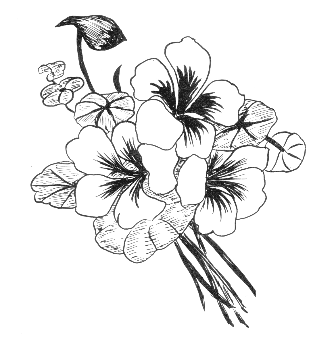 1089x1188 Easy Drawing Beautiful Flowers Beautiful Flower Designs To Draw