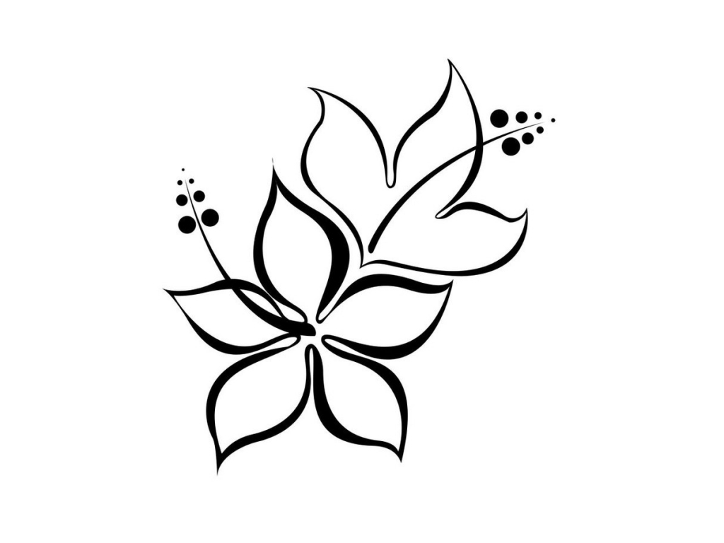 1024x768 Easy Flower Drawings Simple Drawing Of Flowers How To Draw