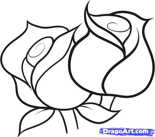 656x578 Drawn Floral Easy Draw