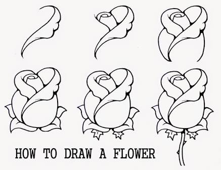 437x336 Image Result For How To Draw Step By Step For Beginners Learning