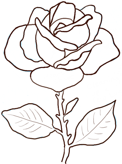 400x536 Drawing Rose