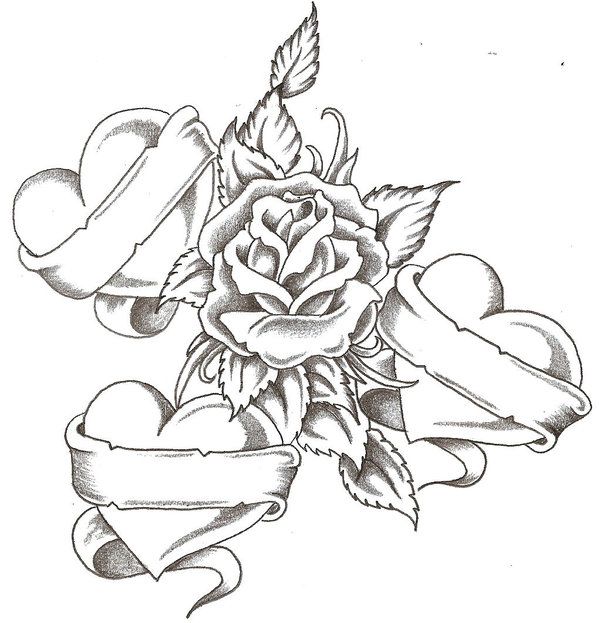 600x623 Pictures Love And Rose Drawing,