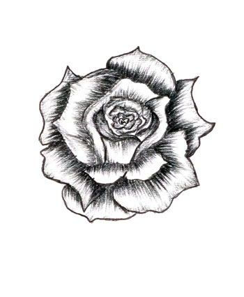 How To Shade A Rose Drawing at GetDrawings | Free download