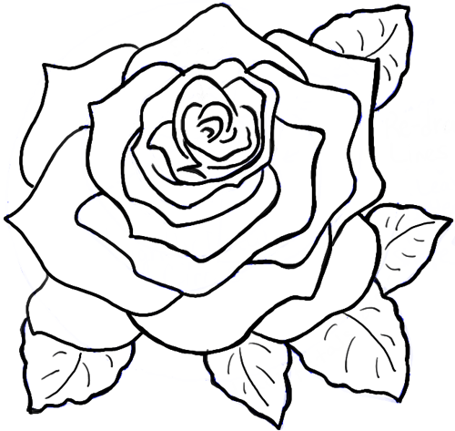500x473 Easy To Draw Roses