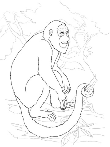 360x480 Howler Monkey Coloring Page Free Printable Coloring Pages