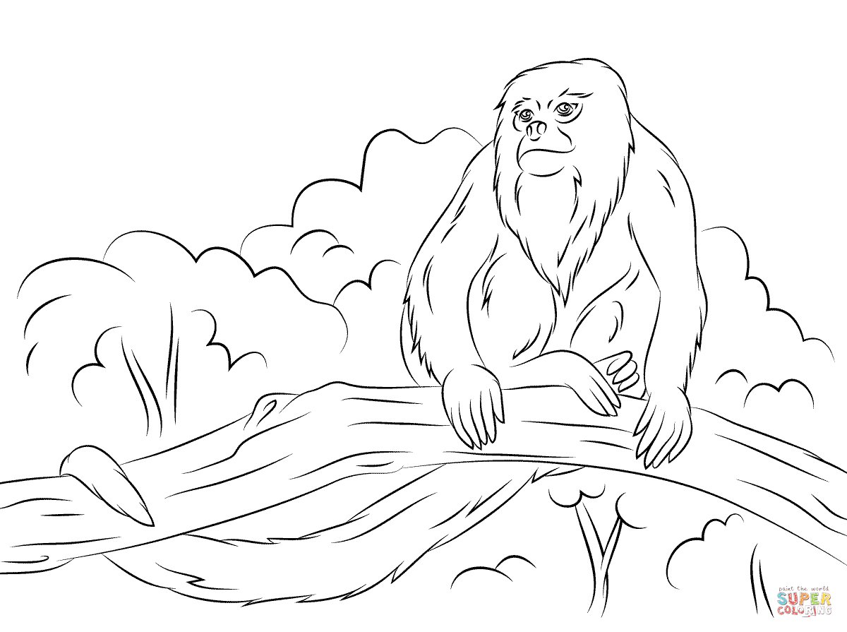 1200x895 Howler Monkey Sitting Tree Coloring Pages Coloring For Kids