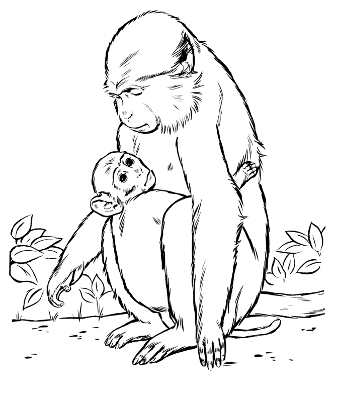 670x820 Mother And Baby Monkey Coloring Page Monkey Coloring Page