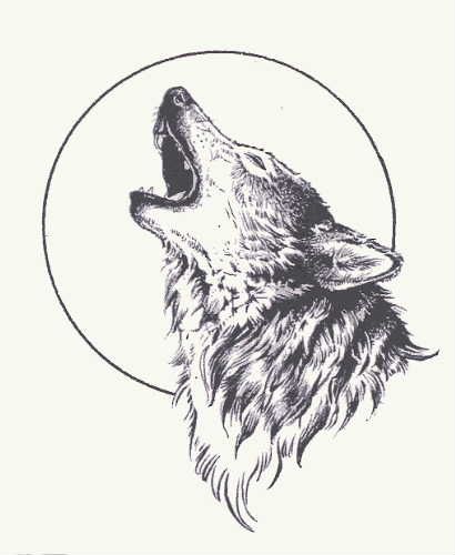 410x500 Grey Wolf And Moon