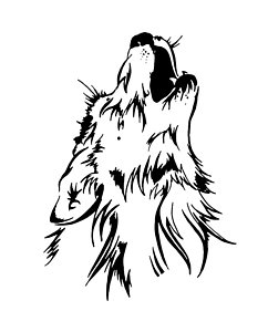 242x300 Howling Wolf Drawings