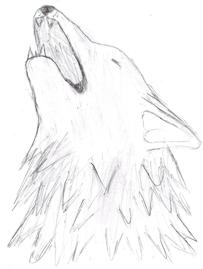 777x1029 Howling Wolf Head Sketch By Thewolflover1000