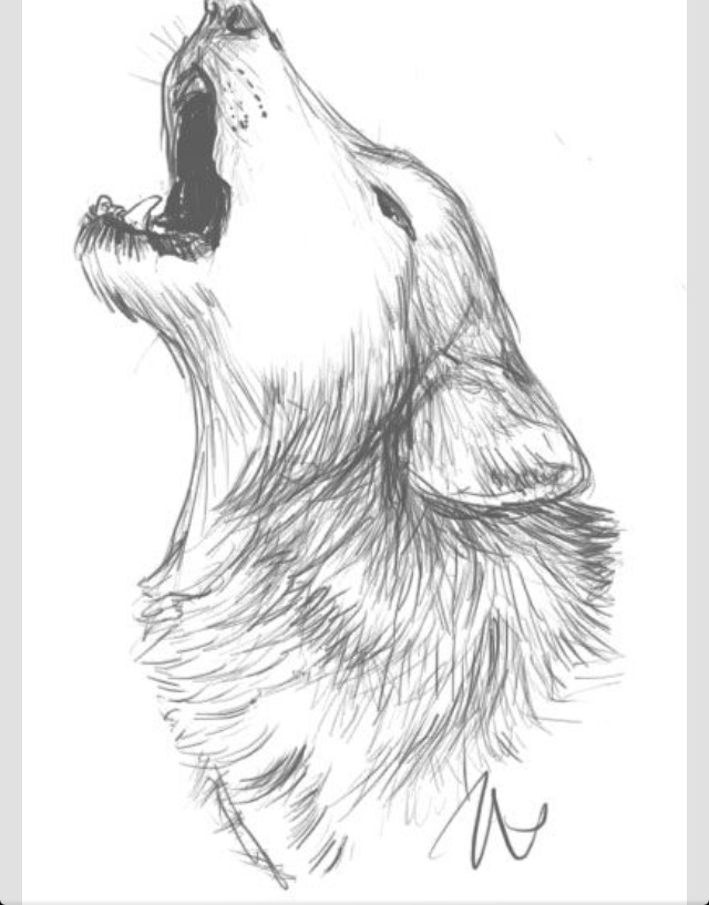 640x817 Wolf Howling Wolf Sketch Wolf Art Art Inspiration
