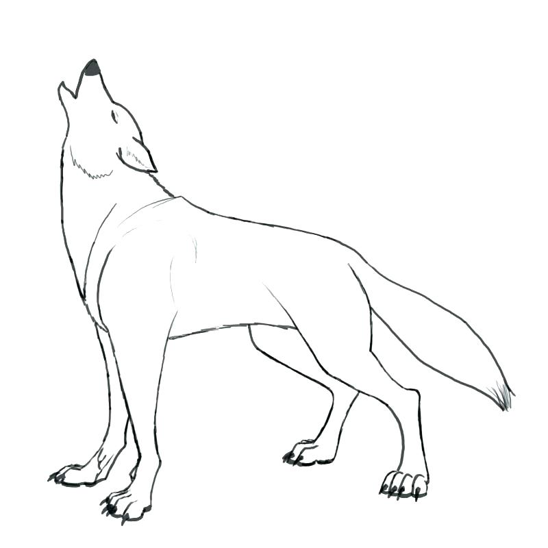 800x800 Coloring Pages Of Wolfs Howling Wolf Coloring Pages Coloring Page