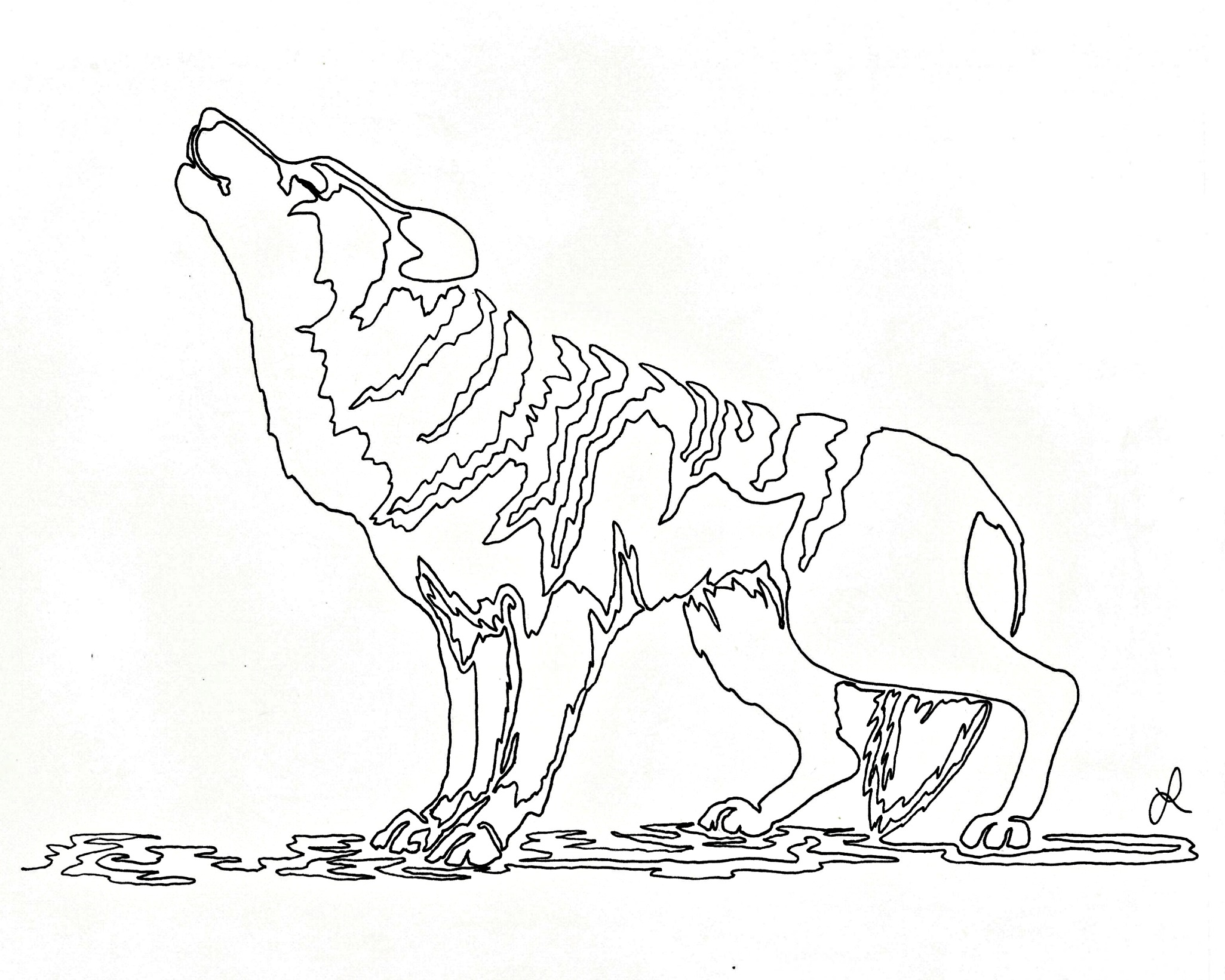 2051x1641 Howling Wolf Continuous Line
