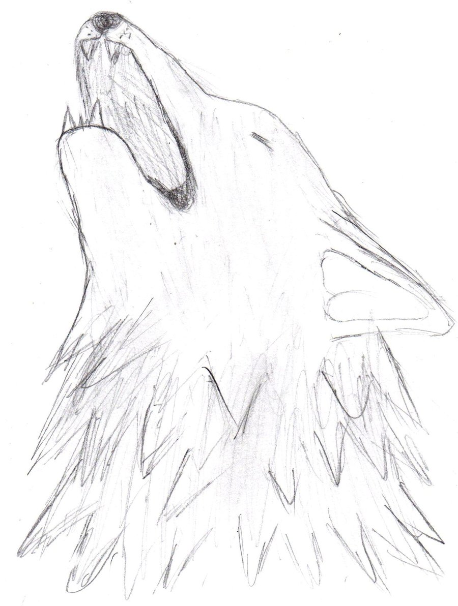 900x1192 Howling Wolf Head Drawing