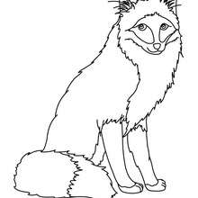 220x220 Howling Wolf Coloring Pages