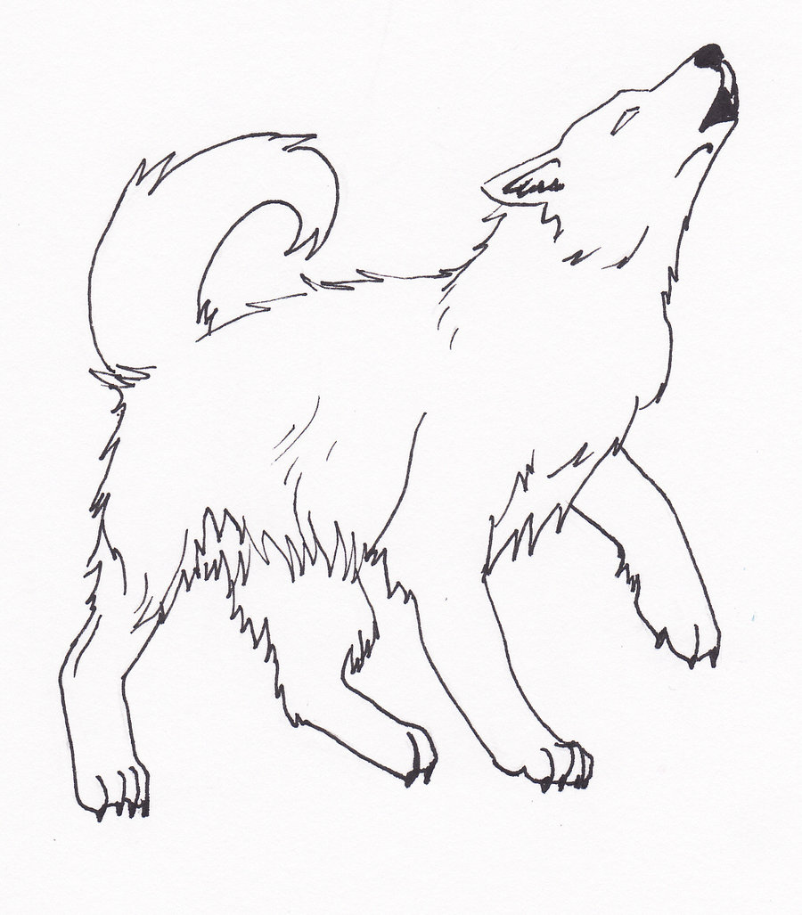 900x1027 Image Result For Drawing Wolf Howling Drawing Yearbook