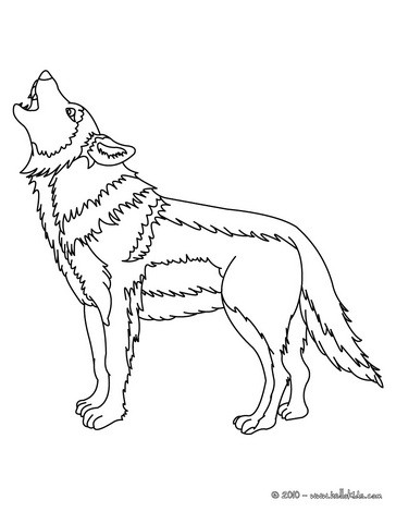 364x470 Wolf Drawing For Kids, Coloring Pages, Reading Amp Learning, Free