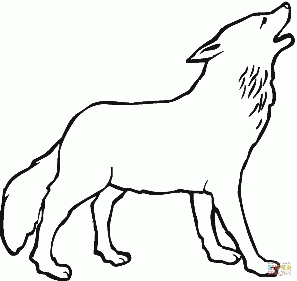 948x895 Great Wolf Coloring Page Pages Online Pictures Animal Free Games