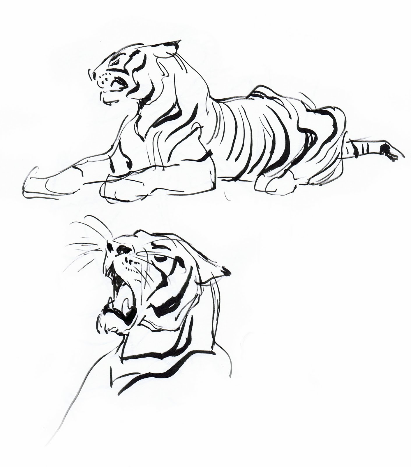 1411x1600 Deja View Animal Sketchbook