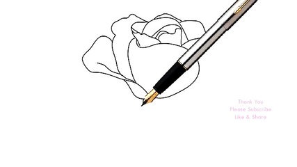 427x240 How To Draw A Rose Flower Easy Line Drawing Sketch