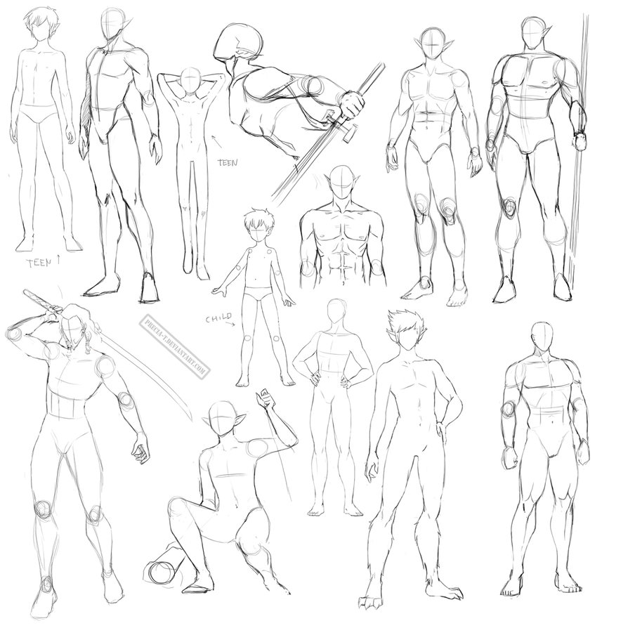 894x894 Drawn Child Anatomy