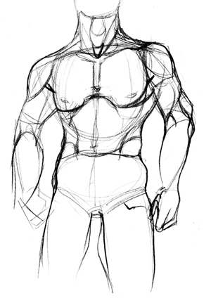 300x424 Draw Human Anatomy Yi's Blog