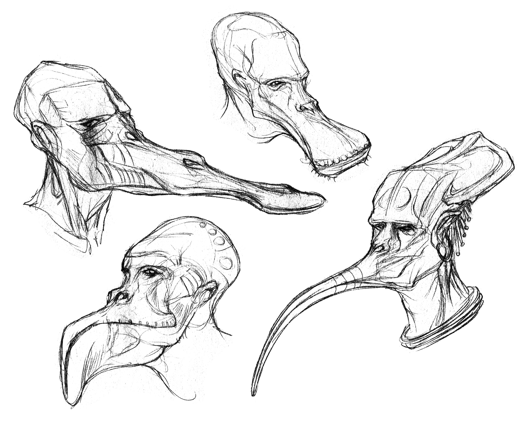 1767x1400 Anthravignathid Sketches By Thomastapir