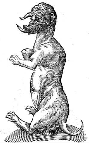 300x477 Pig Dog Hybrids