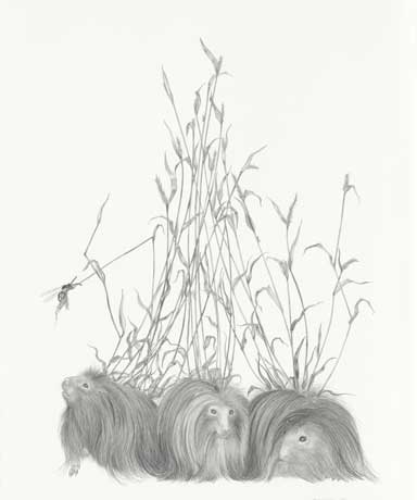 384x460 Tara Tucker's Wild Animals