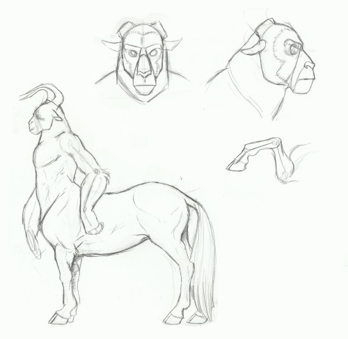 500x487 Animal Human Hybrid Tumblr