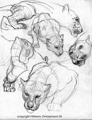 308x400 56 Best Animal Images On Animal Heads, Patterns And Simple