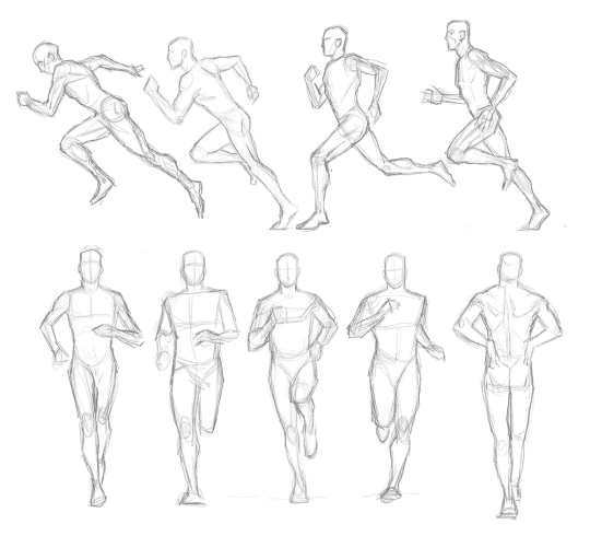 540x490 And Human Proportions Tumblr