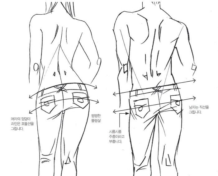 700x567 Image Result For How To Draw Back Of Leg References