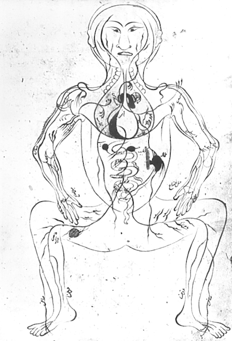 460x676 Islamic Culture And The Medical Arts Anatomy