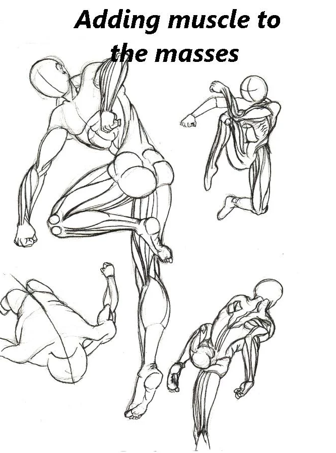667x900 Sketches Of Anatomy Feargameuniversefeargameuniverse